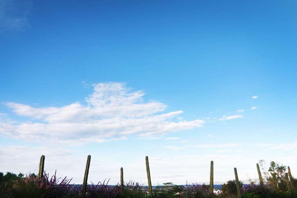 Albor San Miguel De Allende Tapestry Collection By Hilton Екстер'єр фото